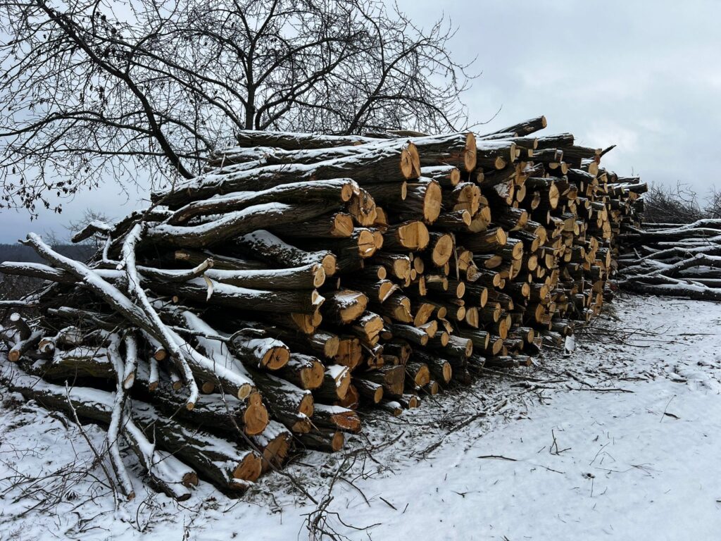 AKÁT 4 m (S PŘÍMĚSÍ TŘEŠNĚ)