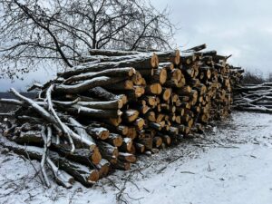 AKÁT 4 m (S PŘÍMĚSÍ TŘEŠNĚ) - fotka 1