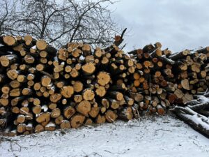 AKÁT 4 m (S PŘÍMĚSÍ TŘEŠNĚ) - fotka 3