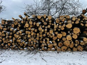 AKÁT 4 m (S PŘÍMĚSÍ TŘEŠNĚ) - fotka 4