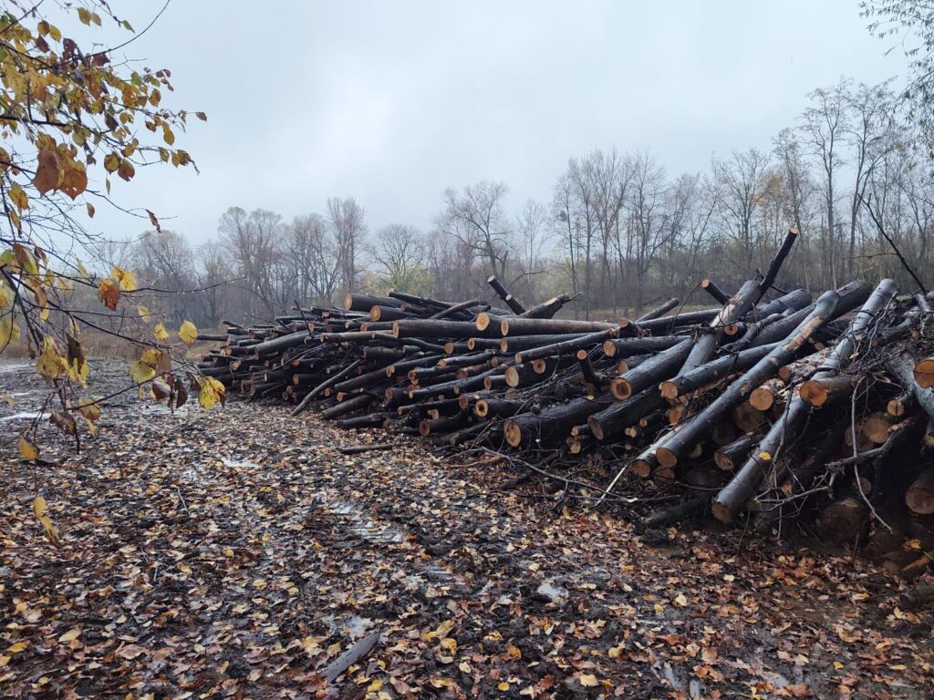 PRODÁM PALIVOVÉ DŘÍVÍ – JASAN 4 m