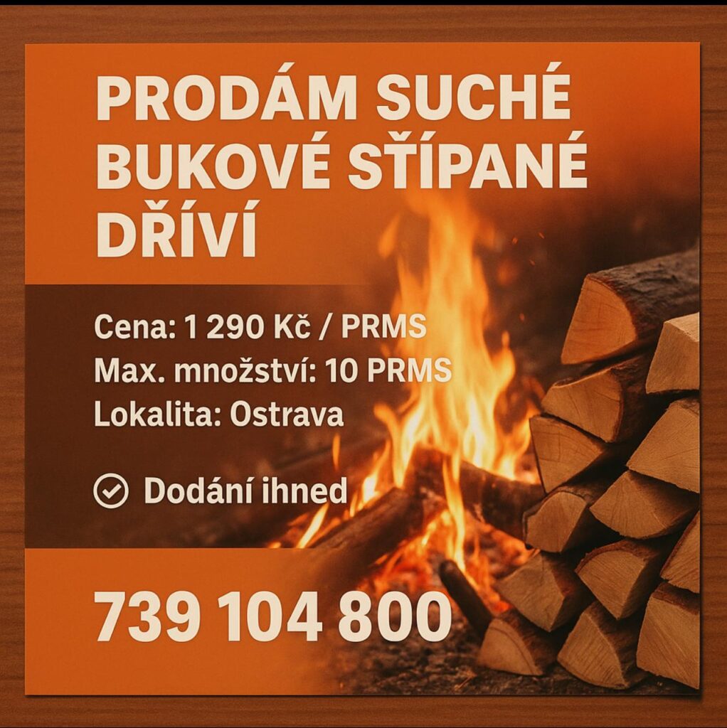 PRODÁM SUCHÉ BUKOVÉ ŠTÍPANÉ DŘÍVÍ