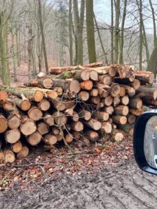 Palivové dříví Buk 4m - fotka 3