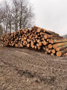 Palivové dříví Buk 4m - fotka 2