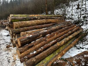 KPZ smrk borovice  2,5m a 5m - fotka 2