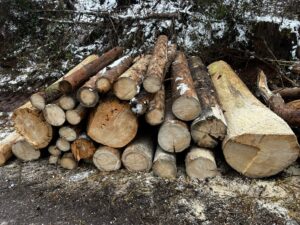 KPZ smrk borovice  2,5m a 5m - fotka 6