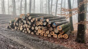 Jasan 4m,5m a 6m - fotka 1