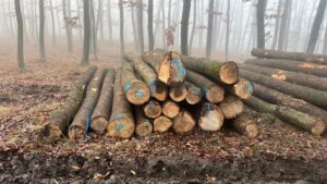 Jasan 4m,5m a 6m - fotka 3