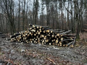 Palivové dříví osika - fotka 1