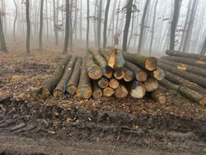 Jasan 4m,5m a 6m - fotka 4