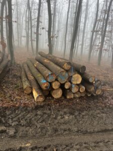 Jasan 4m,5m a 6m - fotka 5