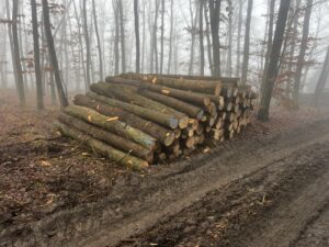 Jasan 4m,5m a 6m - fotka 6