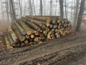 Jasan 4m,5m a 6m - fotka 7