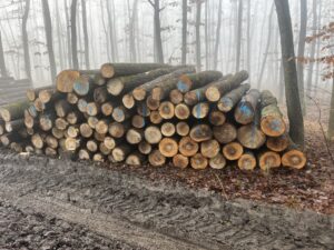 Jasan 4m,5m a 6m - fotka 8