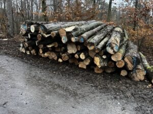 Habr palivo - fotka 3