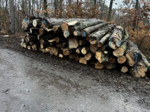 Habr palivo - fotka 2