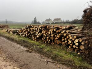 Palivo smrk 4m - fotka 1