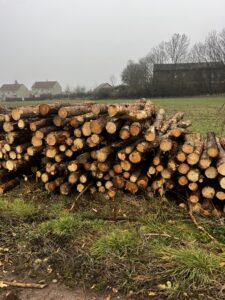 Palivo smrk 4m - fotka 2