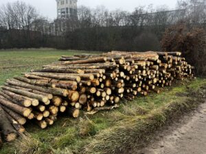 Palivo smrk 4m - fotka 4