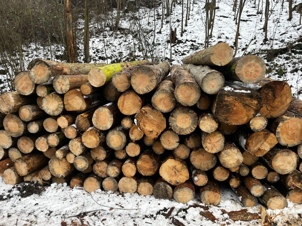 KPZ smrk borovice  2,5m a 5m