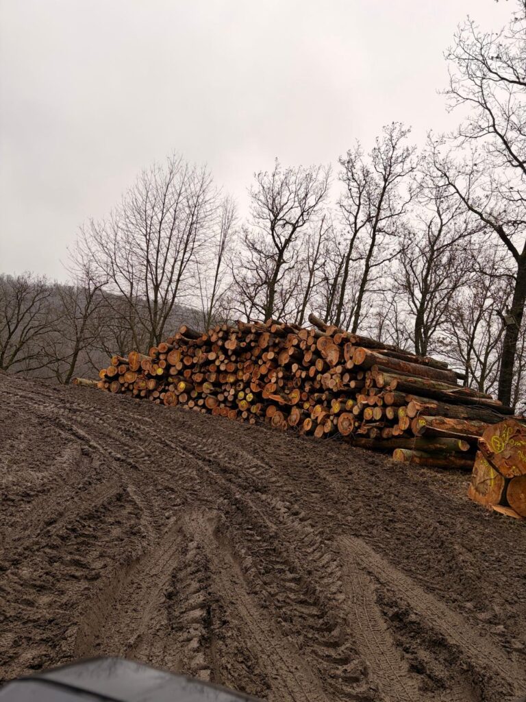 Palivové dříví Buk 4m