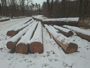 Modřin 30+ - fotka 10