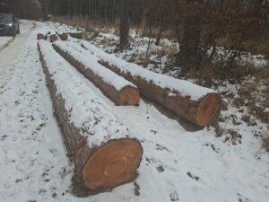 Modřin 30+ - fotka 9