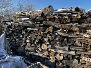 Štípané palivové dříví různě délky a dřeviny - fotka 5