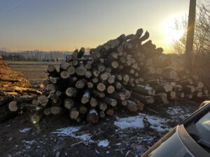 Akát kulatina od 16cm 4m - fotka 6