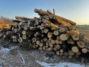 Akát kulatina od 16cm 4m - fotka 7