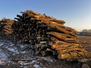 Akát kulatina od 16cm 4m - fotka 5