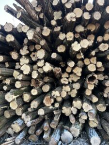 Akát kulatina od 16cm 4m - fotka 4