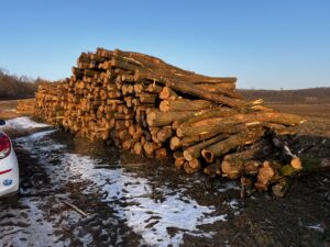 Akát kulatina od 16cm 4m - fotka 2