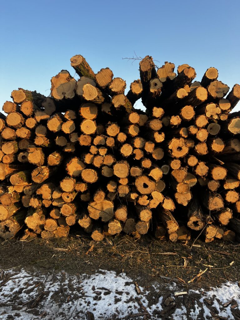 Akát kulatina od 16cm 4m