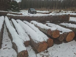 Modřin 30+ - fotka 8