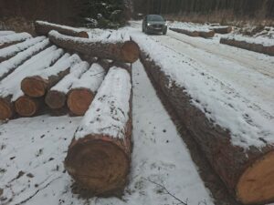 Modřin 30+ - fotka 7