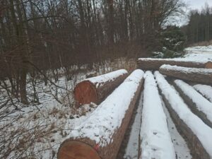 Modřin 30+ - fotka 2