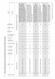 Prodám dříví – topol vlašský - fotka 3