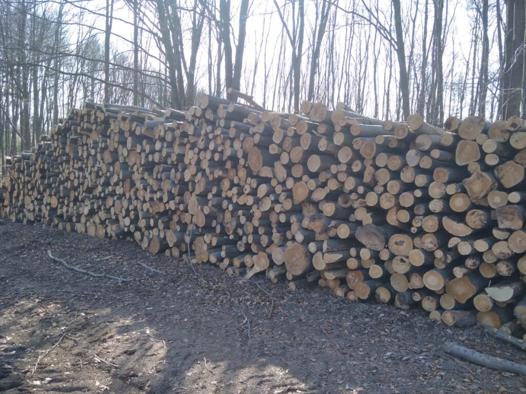 Palivové dříví buk 4m