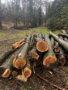 Palivové dříví dub 4-12m - fotka 2