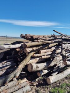 Palivové dříví lípa a osika - fotka 2