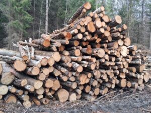 Palivové dříví mix Bříza ,Olše a lípa - fotka 4