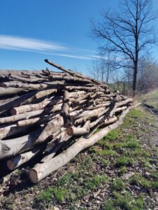 Palivové dříví lípa a osika - fotka 1