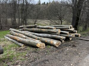 Buk palivo cele délky - fotka 8