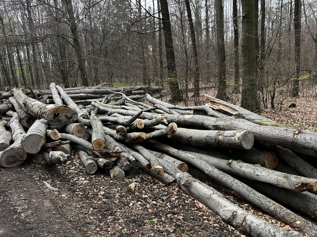 Buk palivo cele délky