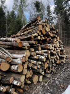 Palivové dříví mix Bříza ,Olše a lípa - fotka 2