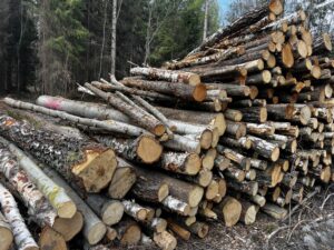 Palivové dříví mix Bříza ,Olše a lípa - fotka 3