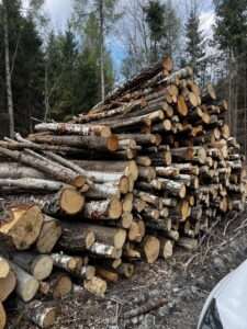 Palivové dříví mix Bříza ,Olše a lípa - fotka 1