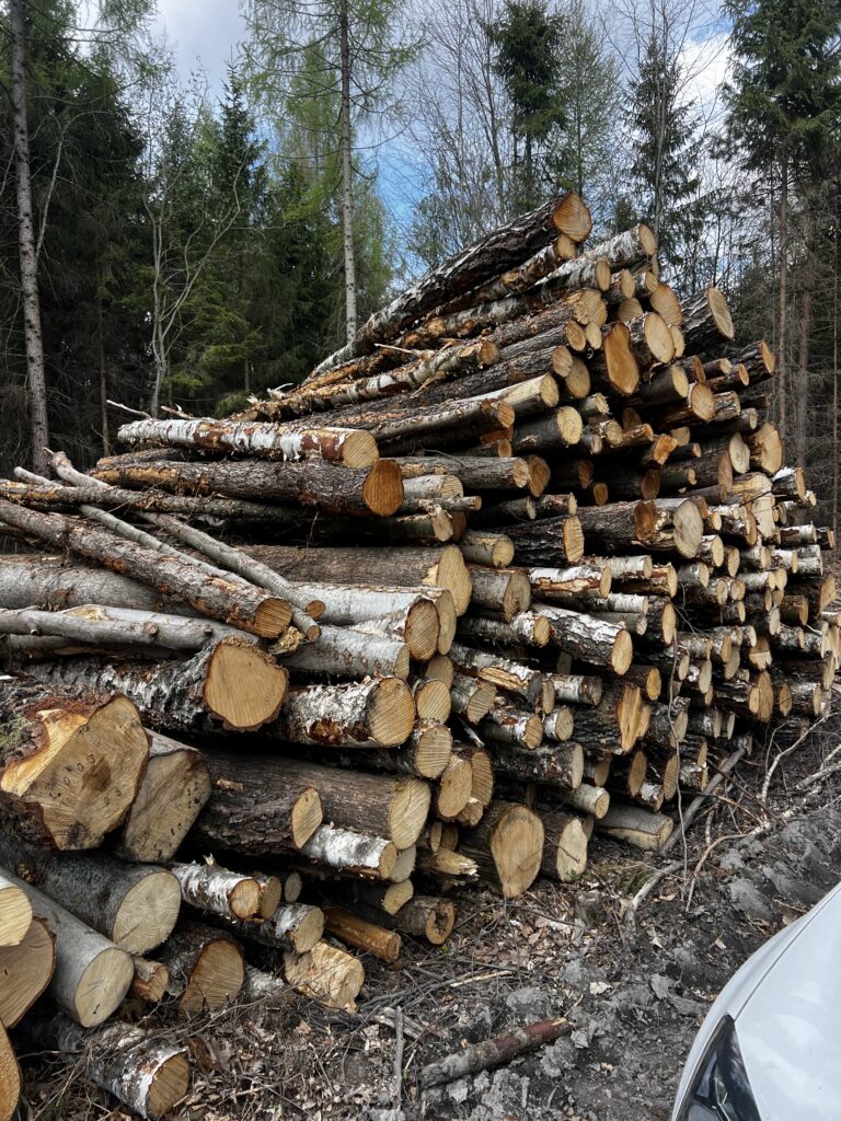 Palivové dříví mix Bříza ,Olše a lípa
