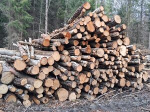 Palivové dříví mix Bříza ,Olše a lípa - fotka 6